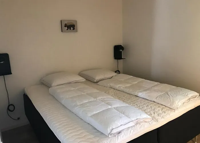 营地 Dcu-camping 欧登塞