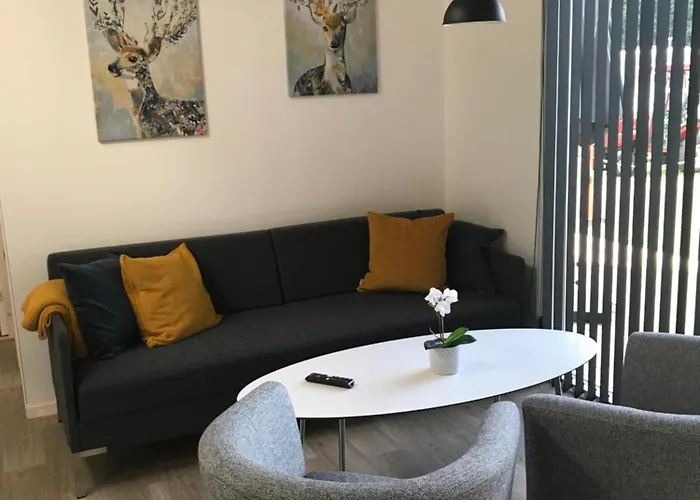 Dcu-camping * 欧登塞